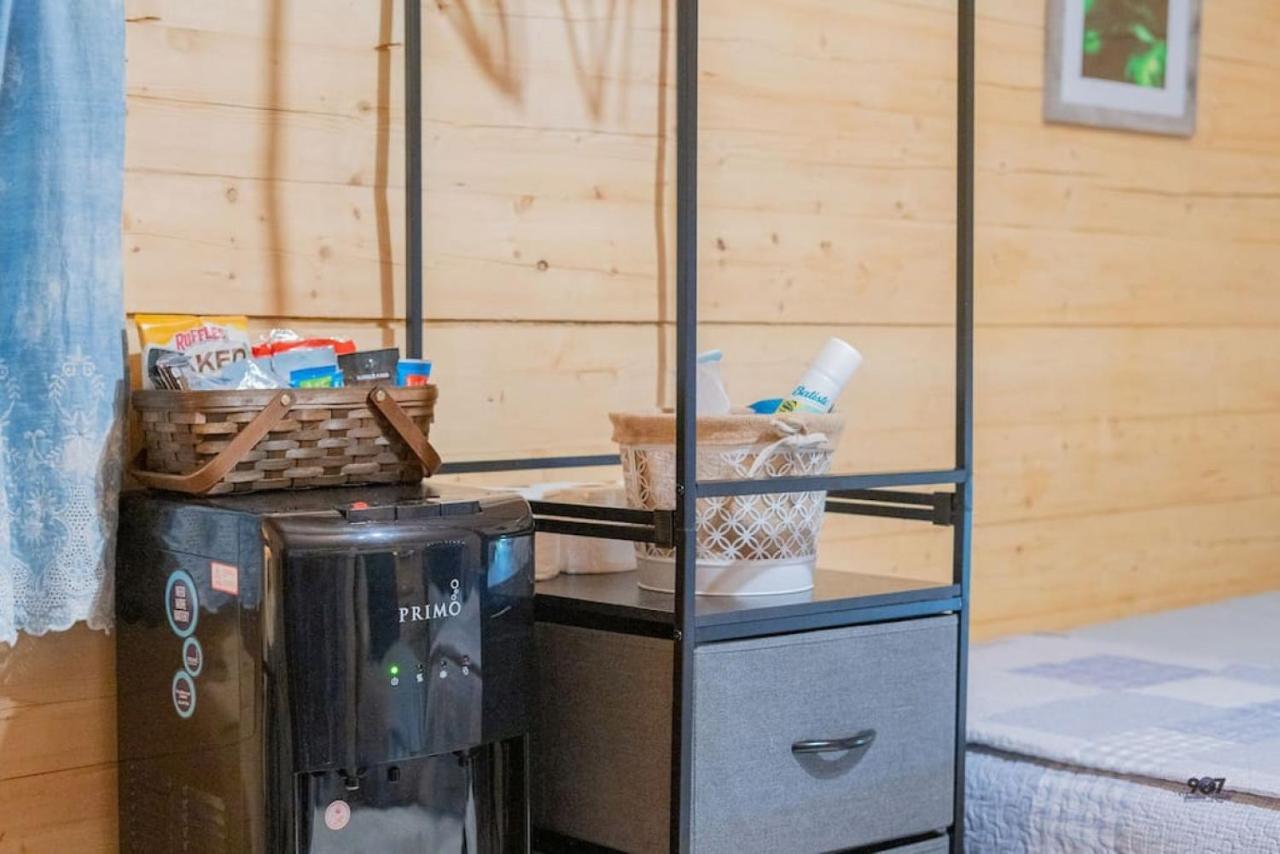 Studio Log Dry Cabin| Aurora Views! 费尔班克斯 外观 照片