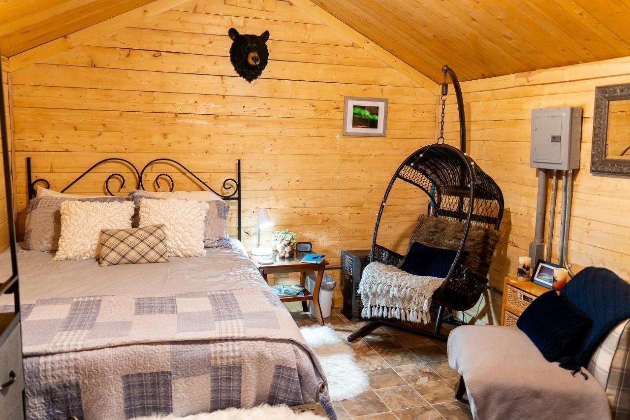 Studio Log Dry Cabin| Aurora Views! 费尔班克斯 外观 照片