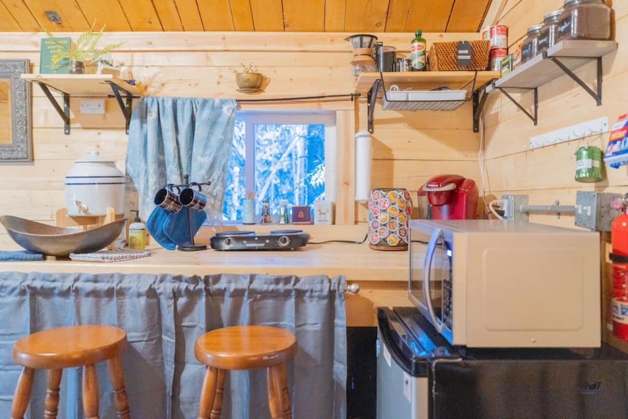 Studio Log Dry Cabin| Aurora Views! 费尔班克斯 外观 照片