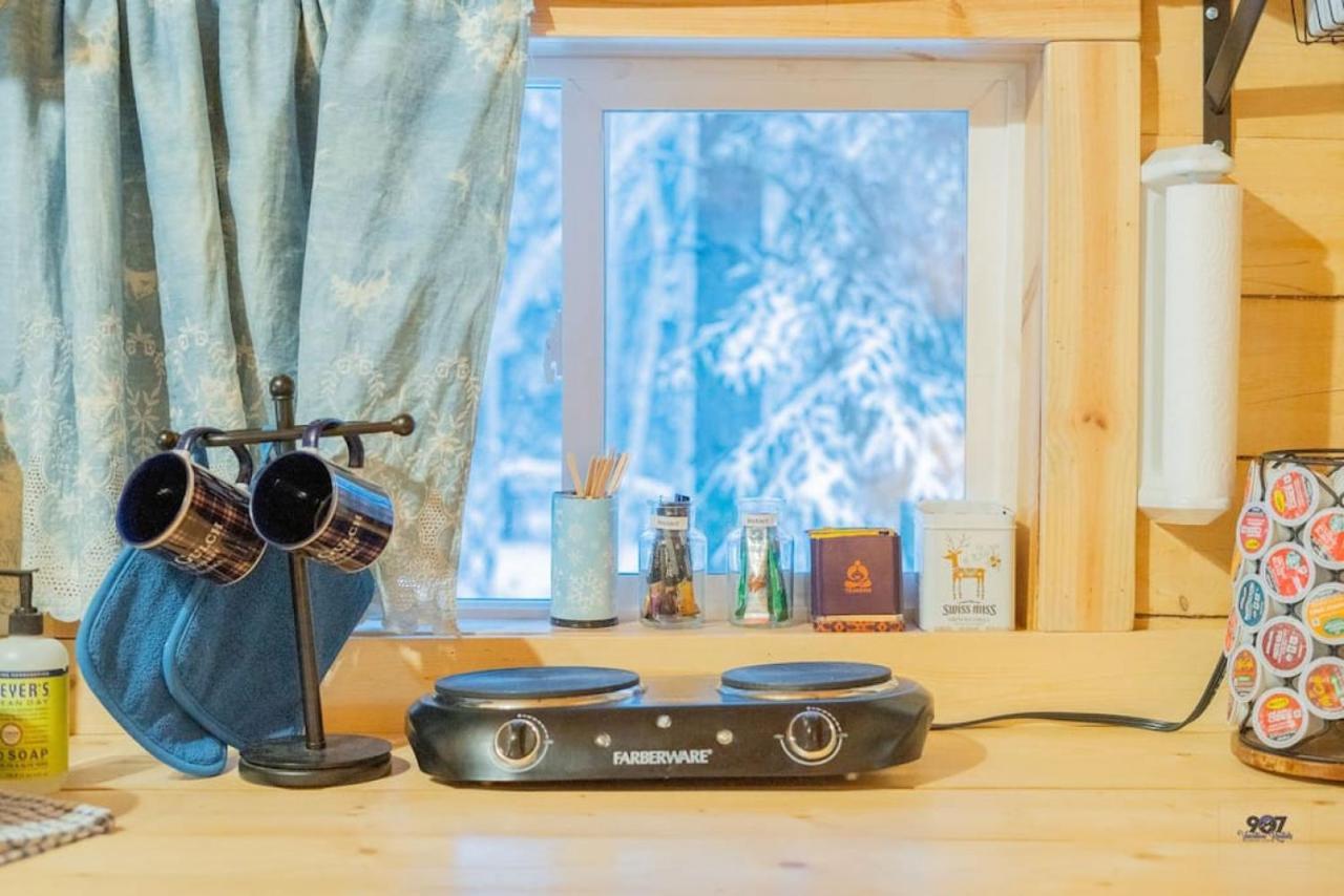 Studio Log Dry Cabin| Aurora Views! 费尔班克斯 外观 照片