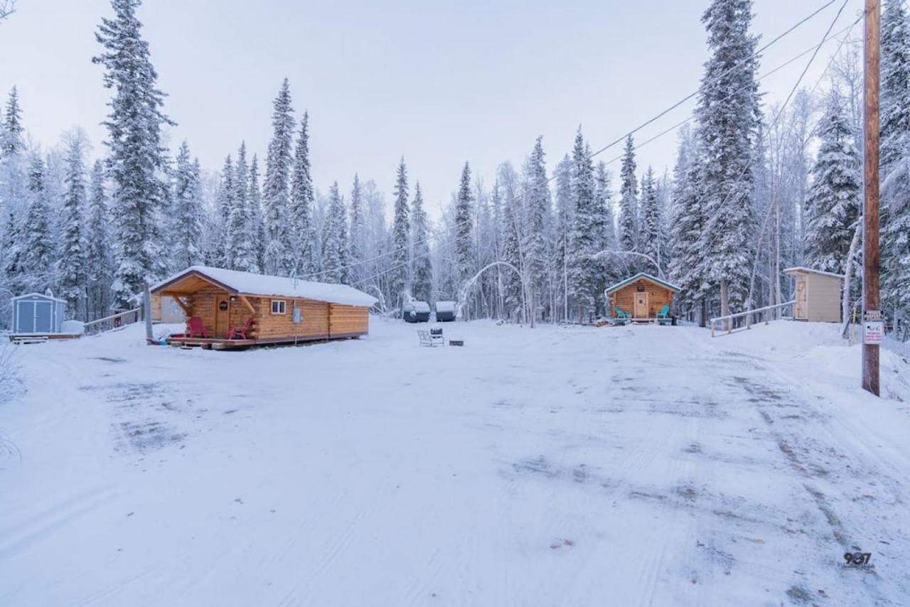 Studio Log Dry Cabin| Aurora Views! 费尔班克斯 外观 照片
