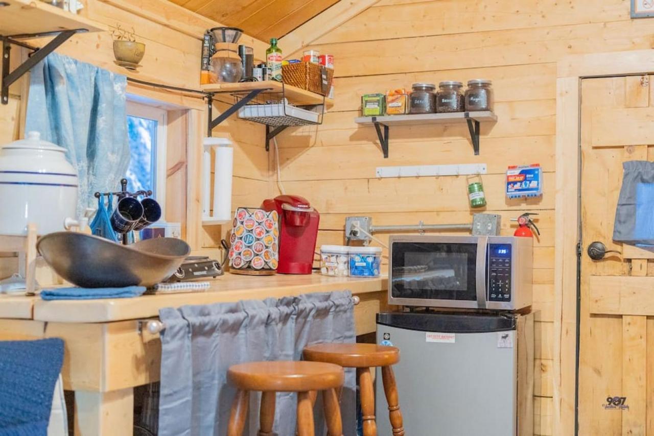 Studio Log Dry Cabin| Aurora Views! 费尔班克斯 外观 照片