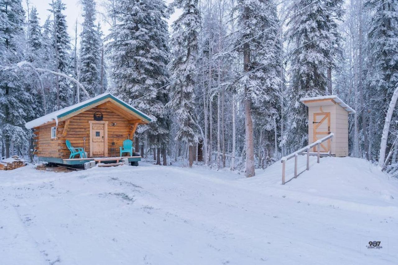 Studio Log Dry Cabin| Aurora Views! 费尔班克斯 外观 照片